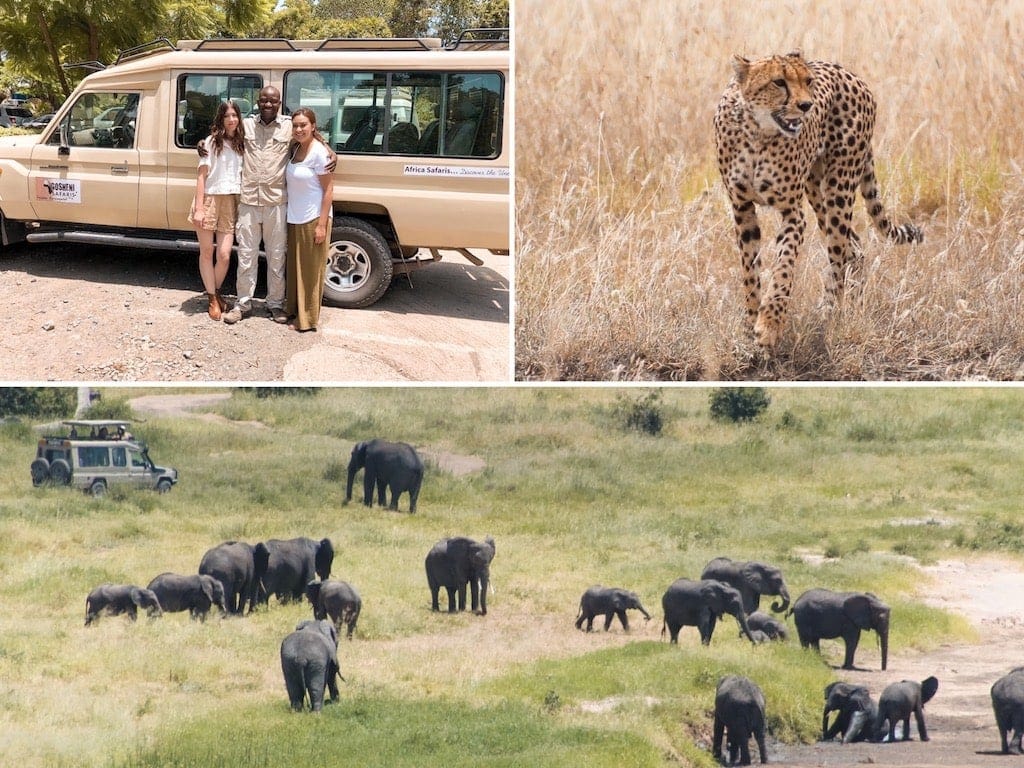What to Expect on Safari: Game drive