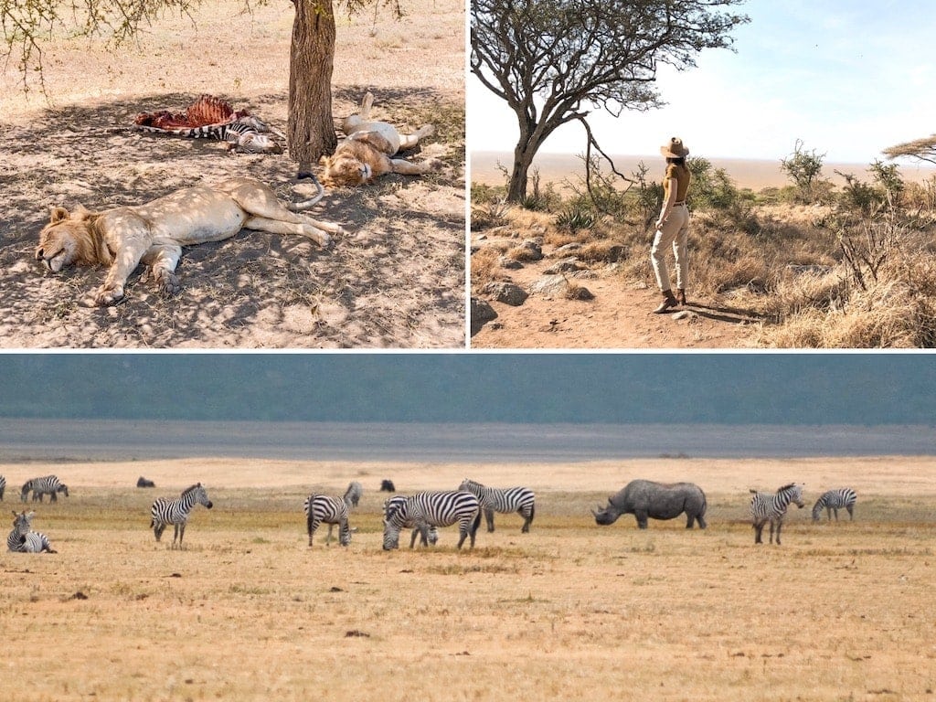 What to Expect on Safari: Ngorongoro Crater