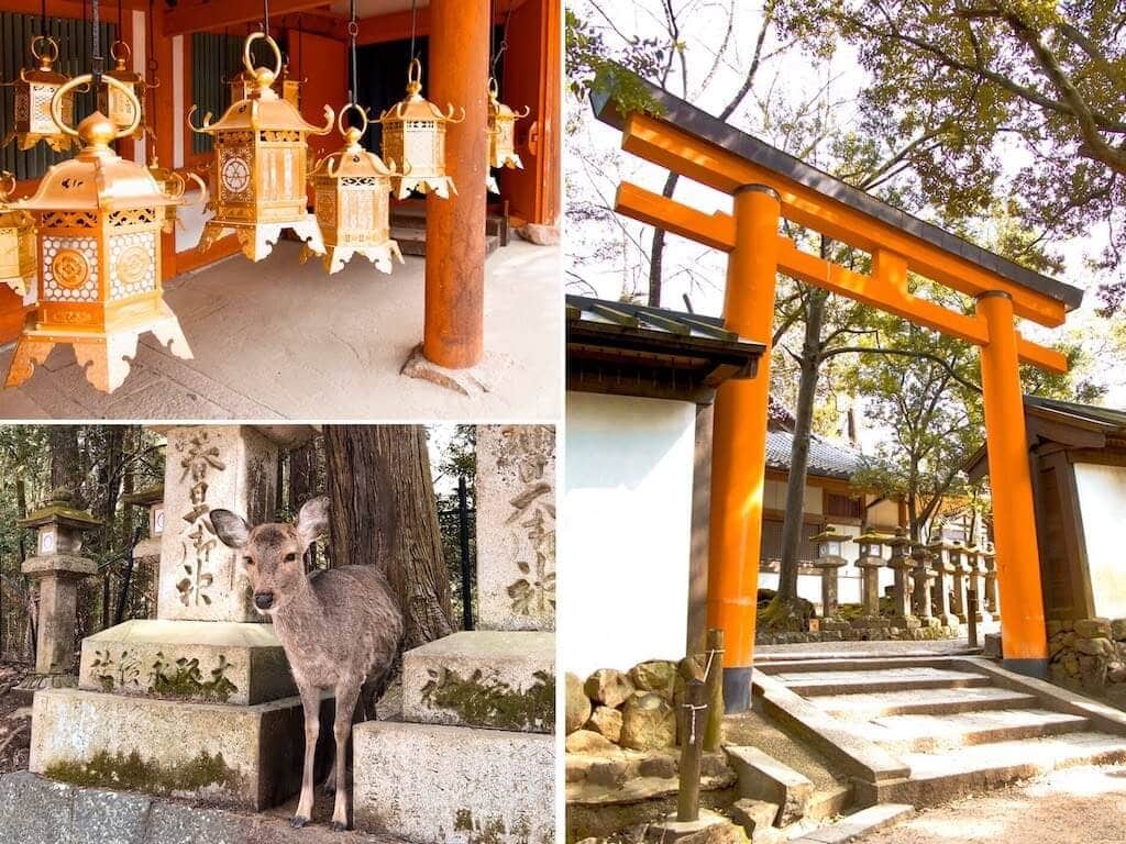 Orange torri gate and gold lanterns at Kasuga Taisha Shrine in Nara