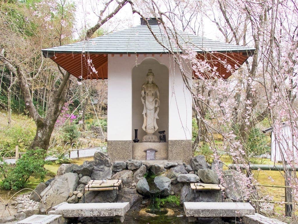 Kyoto guide- Tenryu-ji garden