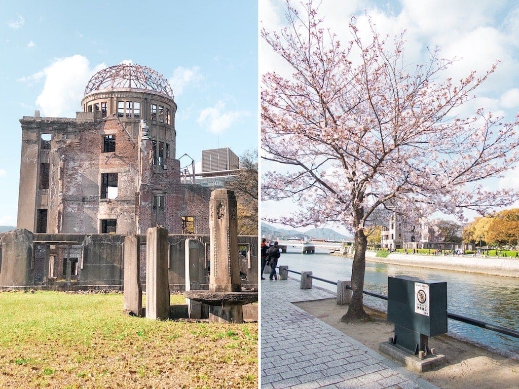 Cherry Blossoms at Peace Memorial Park in Hiroshima, Japan
