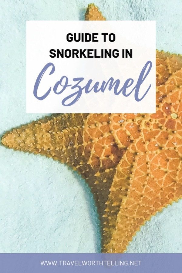 Discover the best snorkeling spots in Cozumel, Mexico. Includes Money Bar Beach Club, Las Casitas and El Cielo.