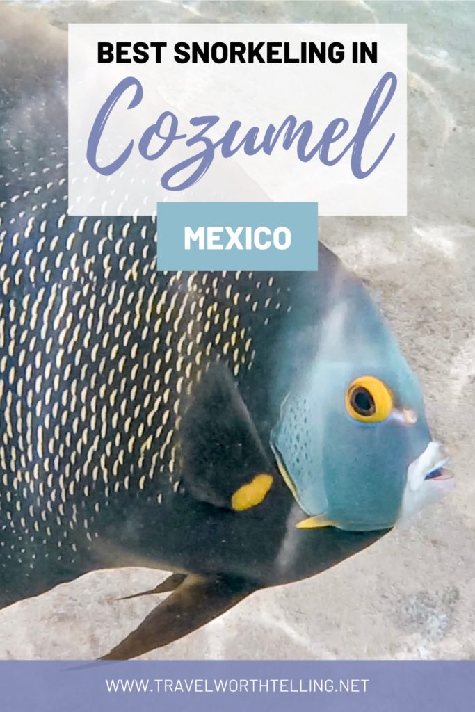 Cozumel is known for its beautiful beaches, turquoise waters, and incredible reefs. Discover the best snorkeling in Cozumel, Mexico. Includes El Cielo, Palancar, and Money Bar.