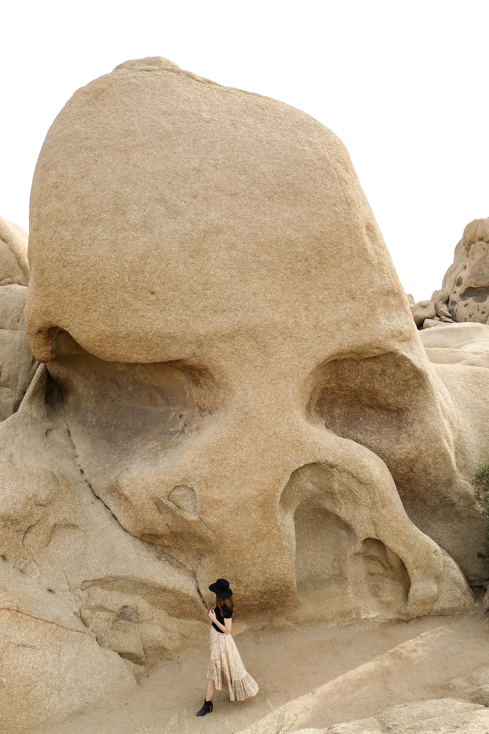 Skull Rock in Joshua Tree National Park