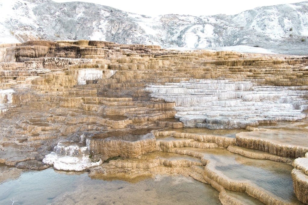 Top attractions in Yellowstone: Mammoth Hot Springs