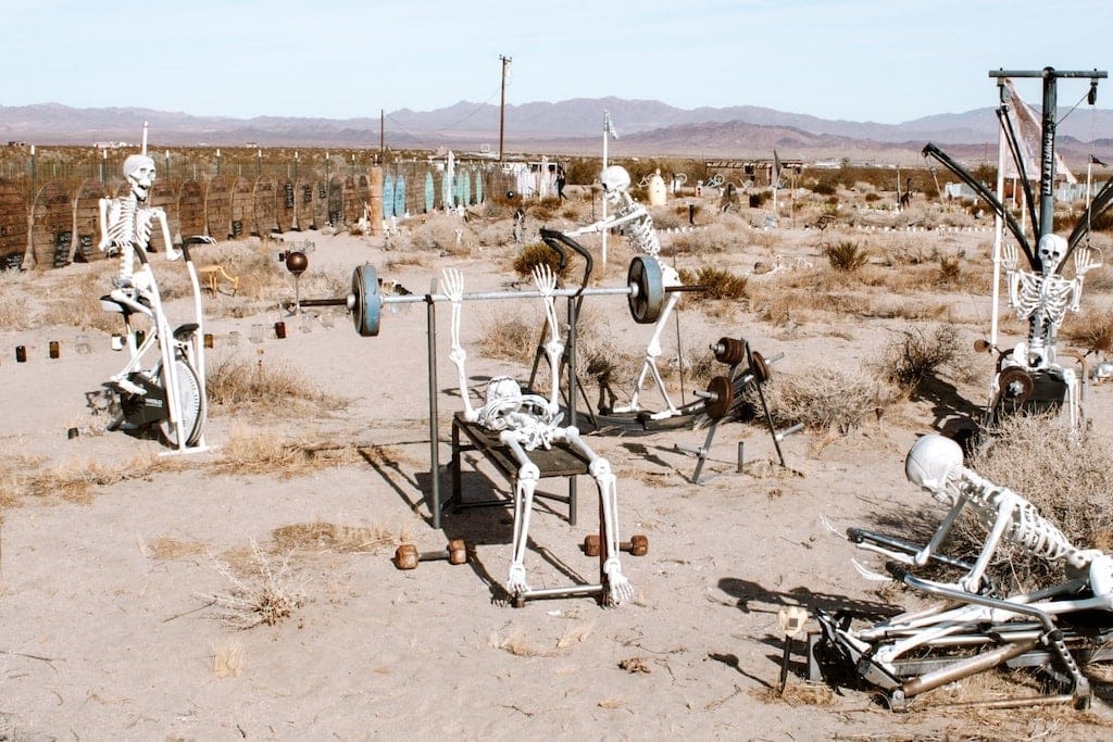 Weird Things to Do in Joshua Tree: Skeletons at Glass Outhouse Gallery