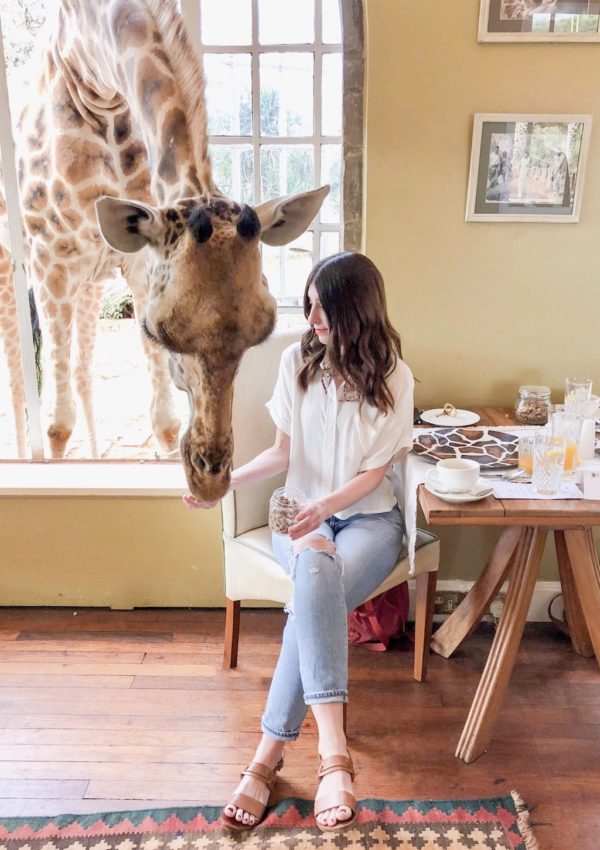 Giraffe Manor in Kenya: Feeding a giraffe
