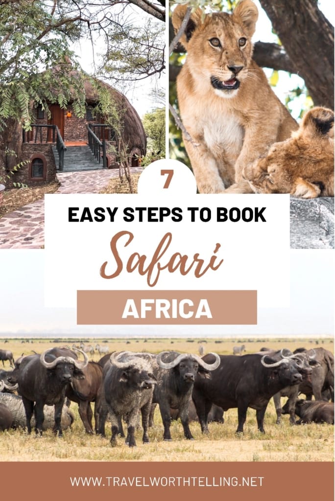 Are you dreaming of a safari? Discover how to book an African safari. Learn how to set a budget and choose the best time, destination, and tour operator.