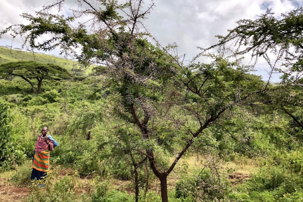 Ngorongoro Conservation Area