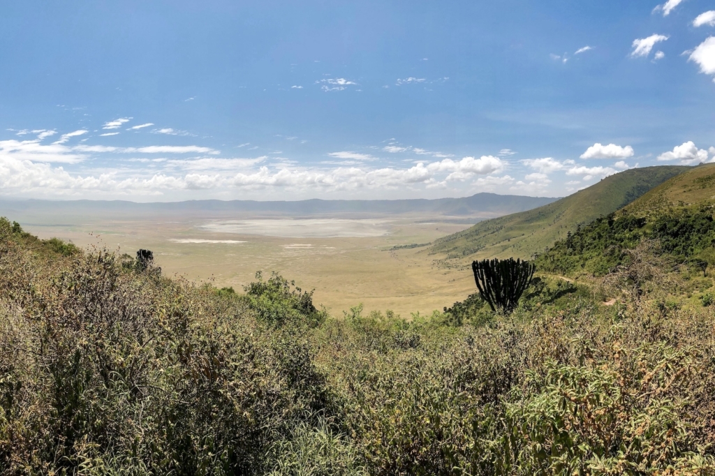 What to Expect on Safari: Ngorongoro Crater