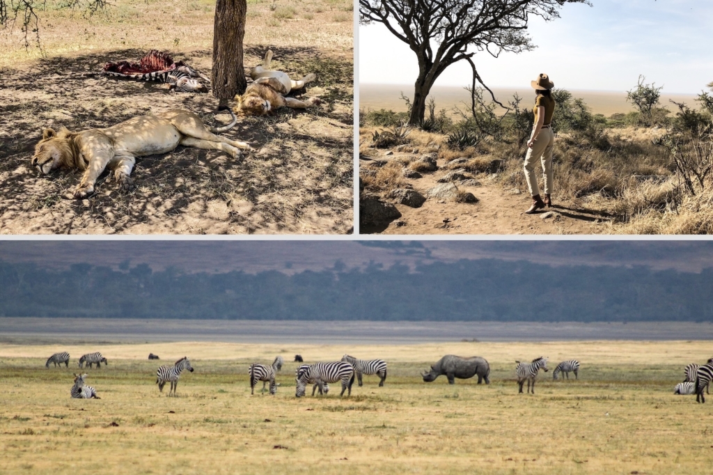 What to Expect on Safari: Rhino at Ngorongoro