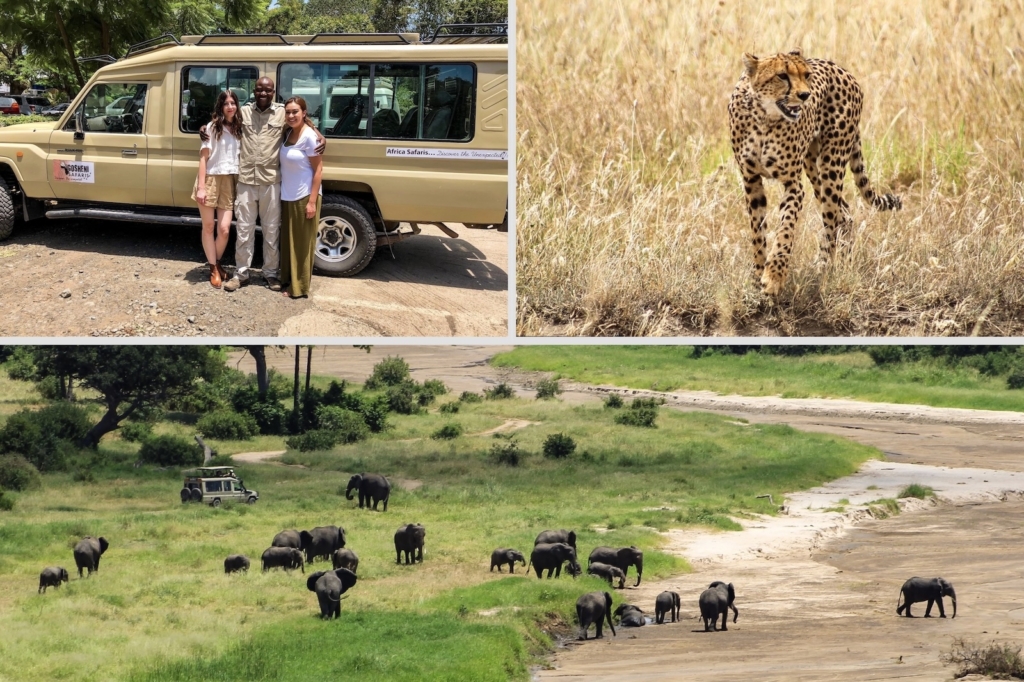 Game Drive in Tanzania