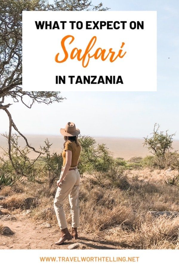 Don't know what to Expect on Safari? Find out everything you need to know about the national parks, lodges and more while on safari in Tanzania.