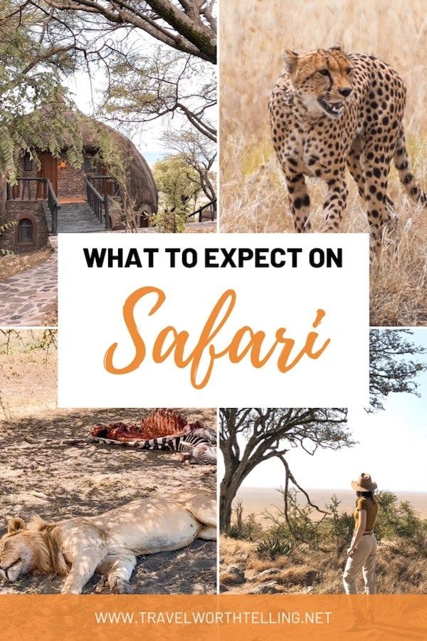 An African safari isn’t your typical travel experience. It can be life-changing and is truly unlike anything else. Find out what to expect on safari. Includes best national parks, the Big Five, and more.