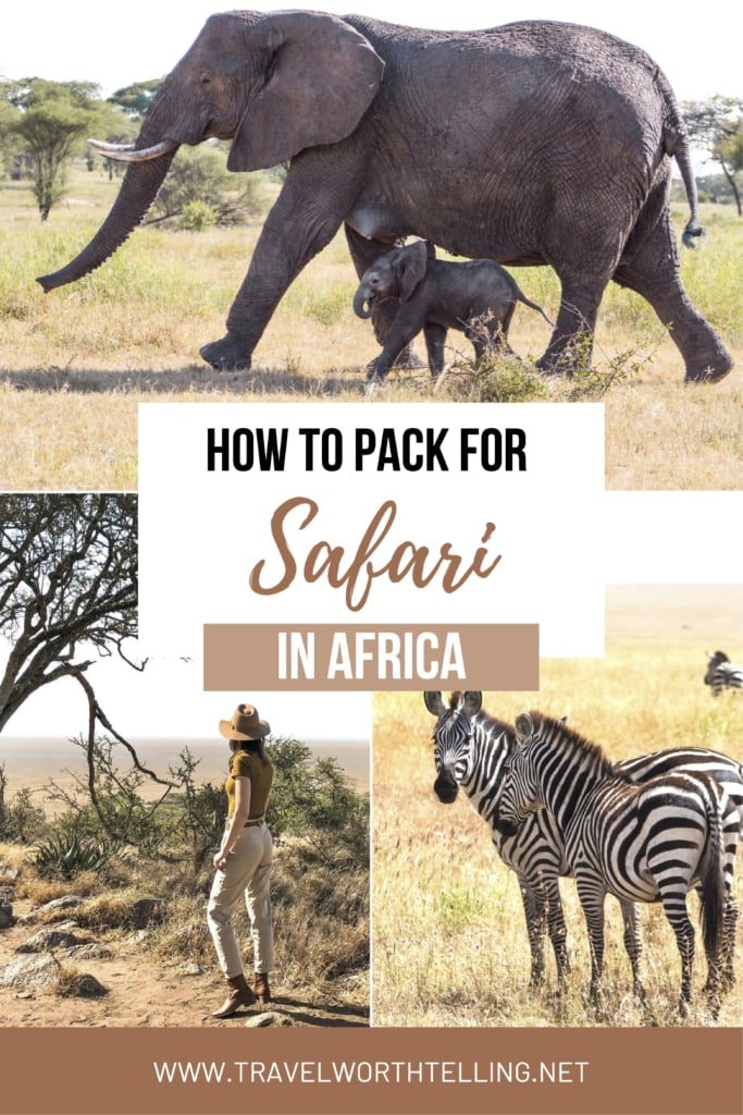 Planning an African safari? Find out what to pack for safari and other things you need to know in this safari packing guide. Includes safari clothing, cameras, vaccines, and packing list.