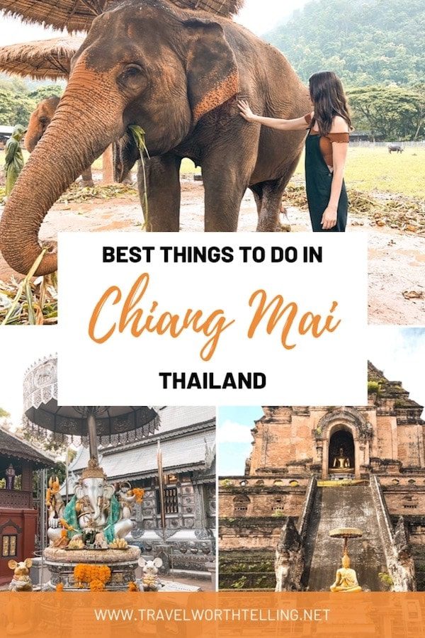 Chiang Mai is a city full of culture, temples, great food, and of course, elephants. It’s no surprise that it’s one of Thailand’s most popular tourist destinations. Discover the 8 best things to do in Chiang Mai.