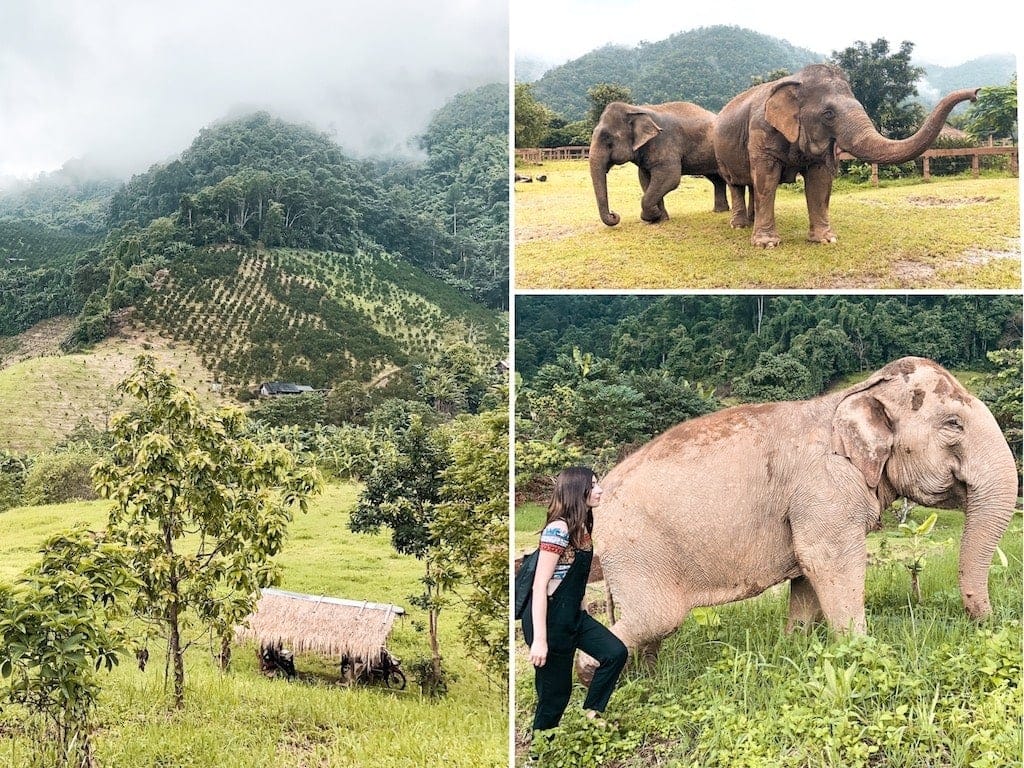 Things to do in Chiang Mai: Elephant Nature Park
