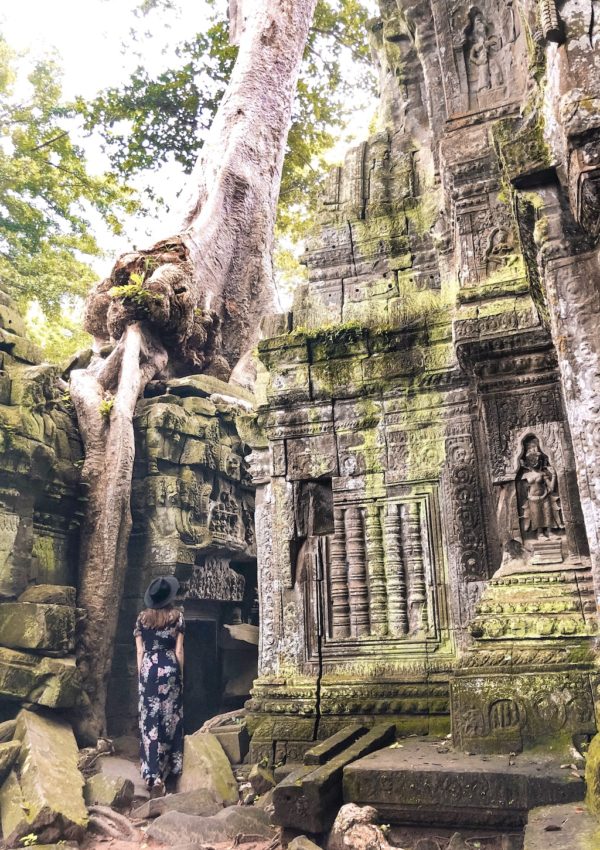 Temples in Siem Reap: Tomb Raider temple