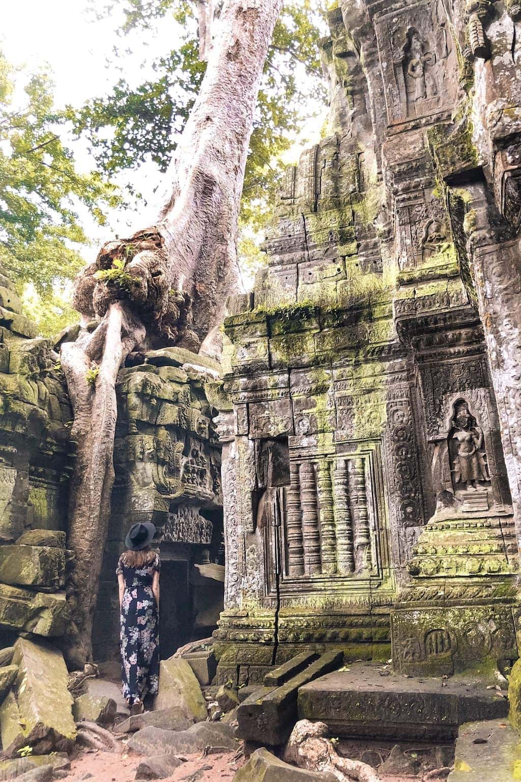 Temples in Siem Reap: Tomb Raider temple