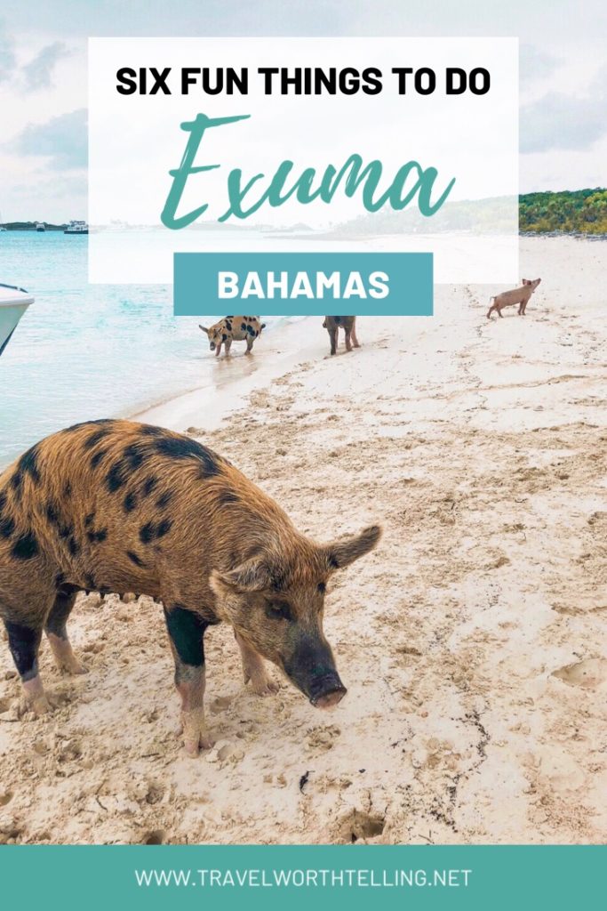 Planning a tropical vacation? Put Exuma on your list. The island chain in the Bahamas is full of fun activities. Get travel tips for Exuma. Visit Pig Beach, swim with sharks, and more.
