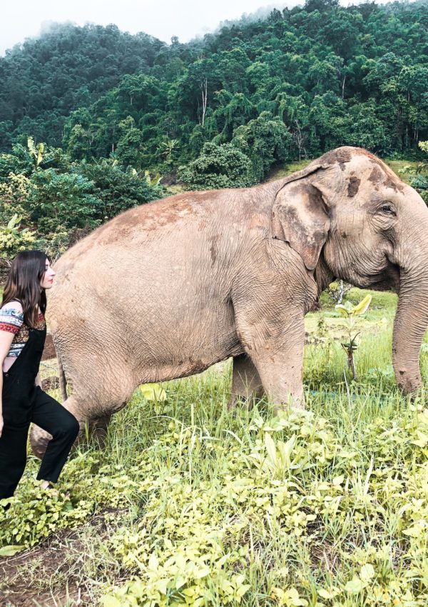 Ethical Elephant Sanctuary: Hiking with an elephant