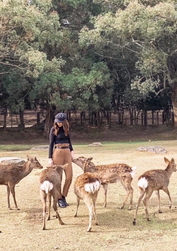 A Day Trip to Nara: Japan’s “City of Deer”