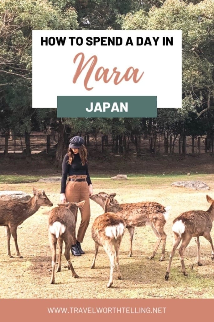 Planning a trip to Japan? Make sure you include a day trip to Nara. Nara is known for its ancient temples, shrines, and the world-famous Deer Park.