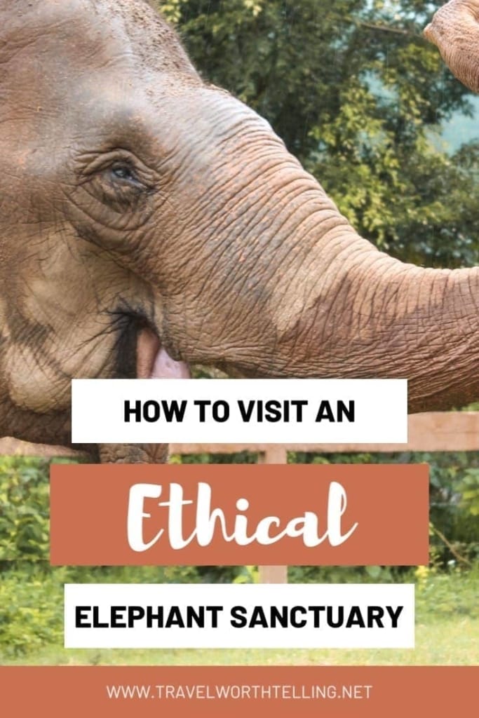 Planning a trip to Thailand? Make sure you add Elephant Nature Park to your itinerary. Elephant Nature Park is an ethical elephant sanctuary located in Chiang Mai.