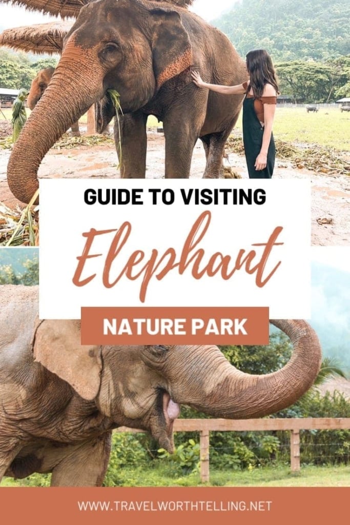 Planning a trip to Thailand? Learn how to visit an ethical elephant sanctuary and hang out with elephants at Elephant Nature Park.