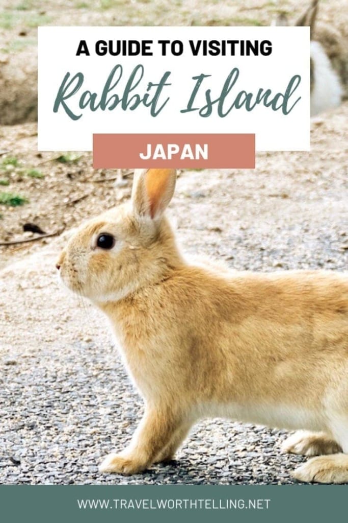 Planning a trip to Japan? You won't want to miss Rabbit Island. Okunoshima has over 1000 feral rabbits that freely roam the island. Find out how to visit in this ultimate guide to Japan's Rabbit Island.
