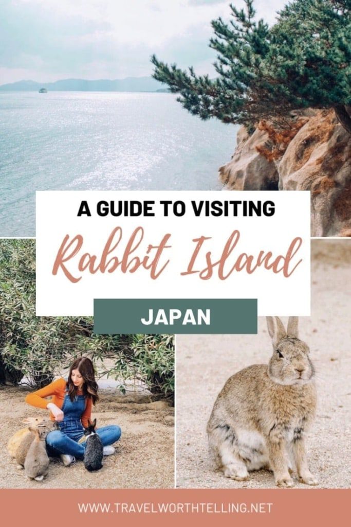 Have you heard of Rabbit Island in Japan? Roughly one thousand rabbits roam the island of Okunoshima. Find out how to visit and where to stay on Rabbit Island, Japan.