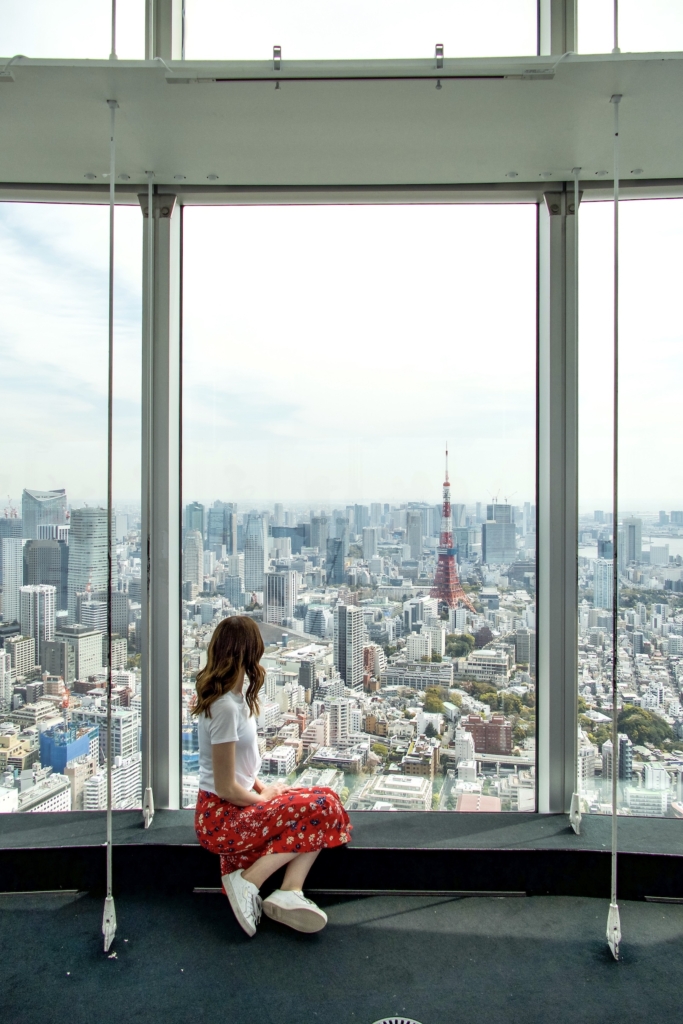 Things to Do in Tokyo: Tokyo City View