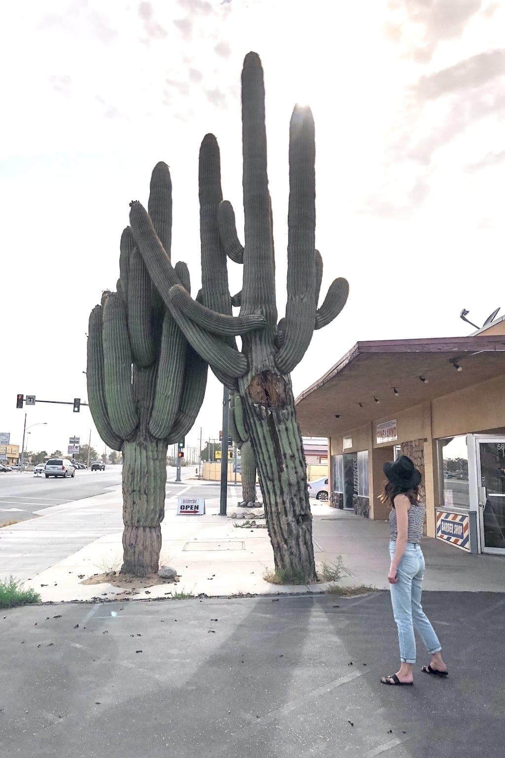 Giant Cactus at Yucca Valley barber shop