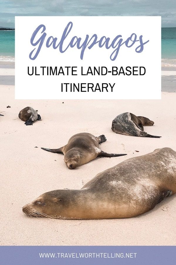 Planning a trip to the Galapagos? This land-based itinerary is the perfect way to spend 10 days on South America's most beautiful islands.