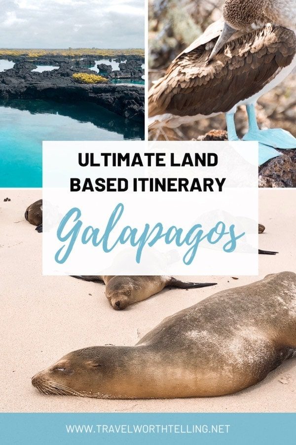 The best Galapagos land based itinerary. Includes Kicker Rock, Los Tuneles, and Concha Perla. Learn how to ferry between the islands of San Cristobal, Santa Cruz, and Isabela.