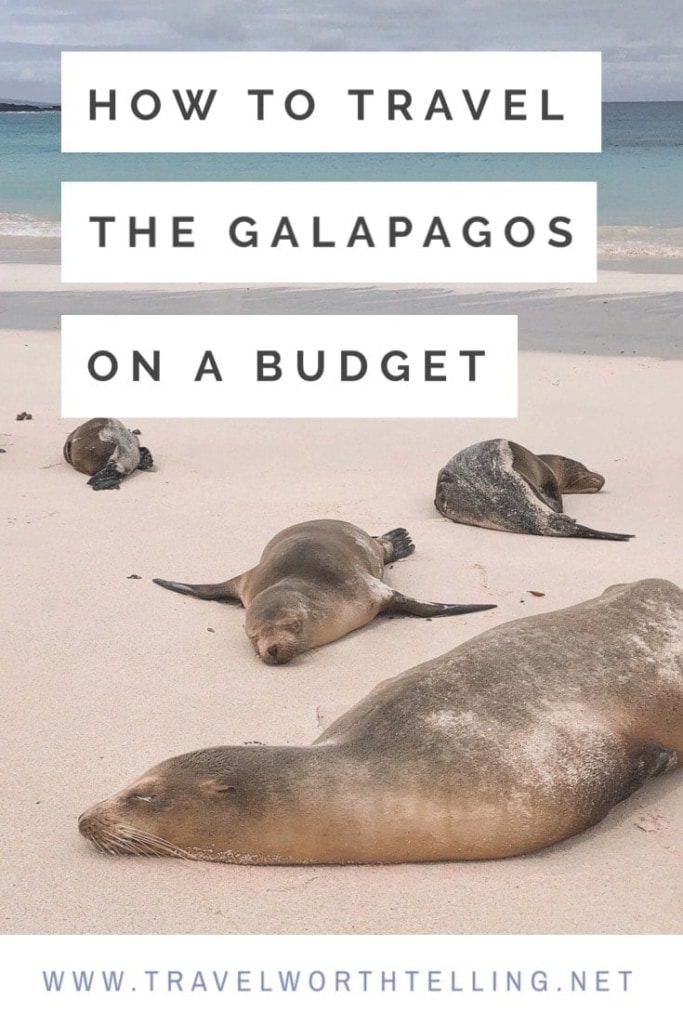 Discover how to visit the Galapagos on a budget. Includes the best places to stay in the Galapagos, must-do activities, and more.
