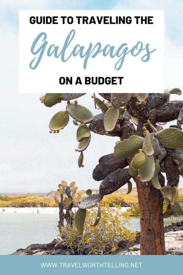 The Galapagos is one of South America's most expensive destinations but with a little planning, it can be affordable. Discover money saving tips in this guide to traveling the Galapagos on a budget.