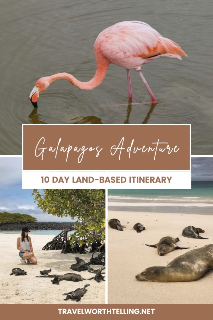 Galapagos Land-Based Itinerary: The Ultimate Adventure