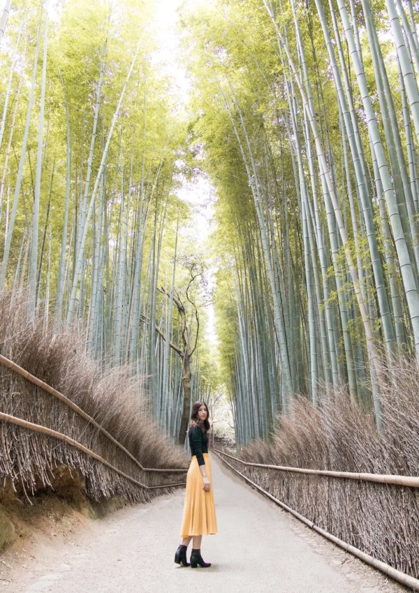Kyoto Travel Guide: Arashiyama Bamboo Forest