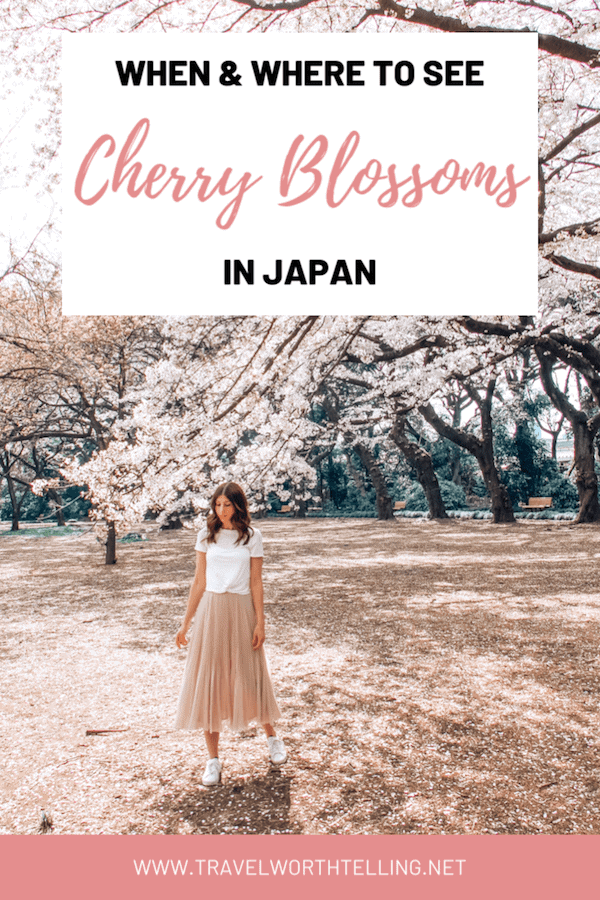Discover when and where to see the cherry blossoms in Japan. Includes the best sakura viewing locations and more.
