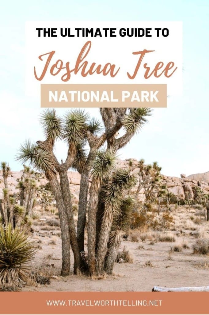 First time in Joshua Tree National Park? Find everything you need to know before visiting in this perfect guide to Joshua Tree National Park. Discover the best hikes, where to eat, where to stay, and the best shopping in Joshua Tree.