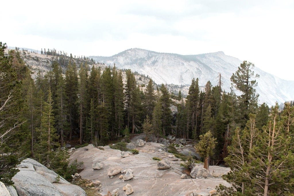 Yosemite 3 Day Itinerary: Olmstead Point