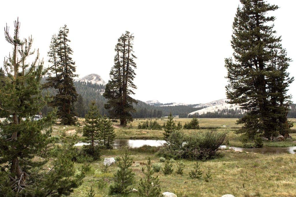 View from Tioga Pass in Yosemite