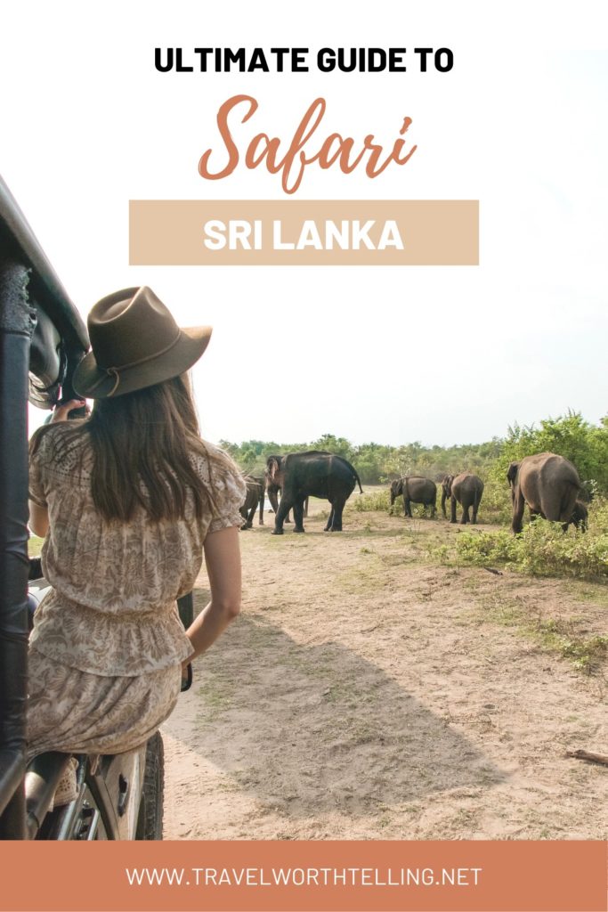 Planning a safari in Sri Lanka? Find everything you need to know in this ultimate guide. Includes Yala National Park, Udawalawe National Park, best time to visit, and more.