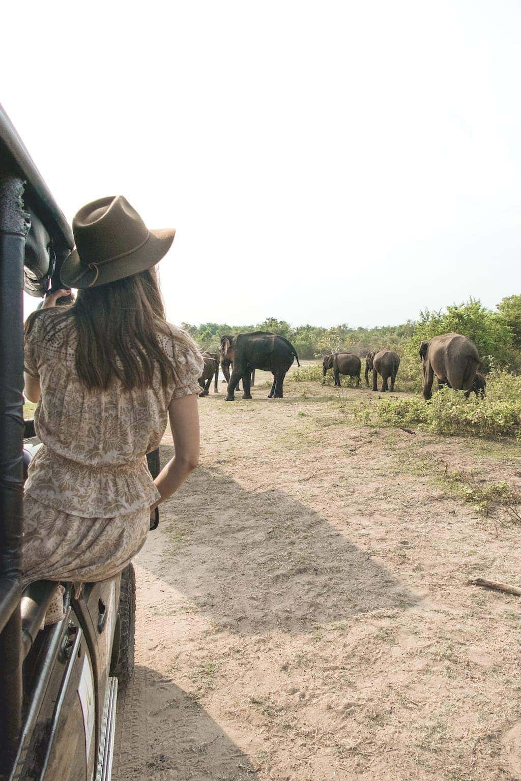Woman on safari in Sri Lanka