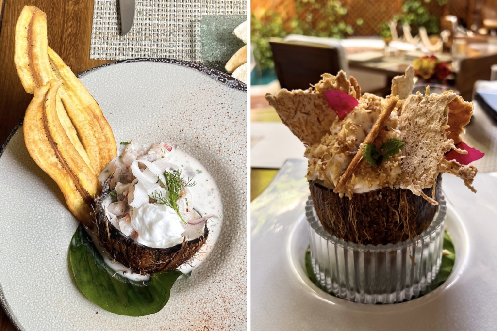 Ceviche and dessert at Alma