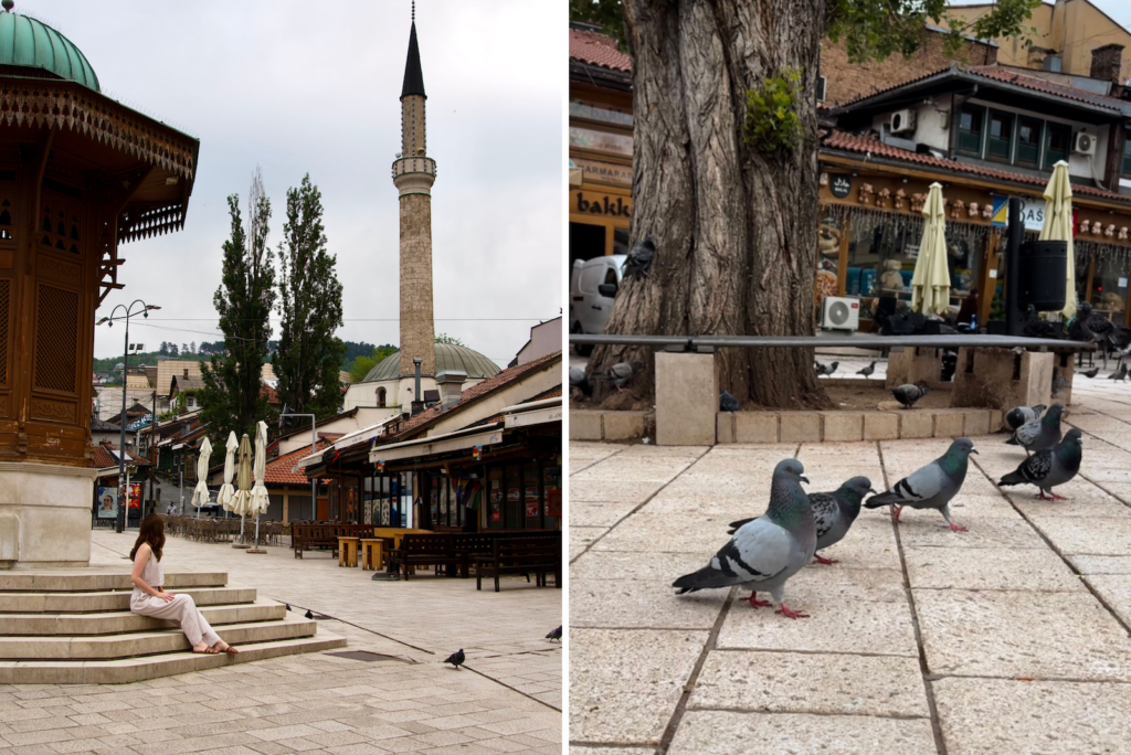 Things to Do in Sarajevo: Sebilj Fountain