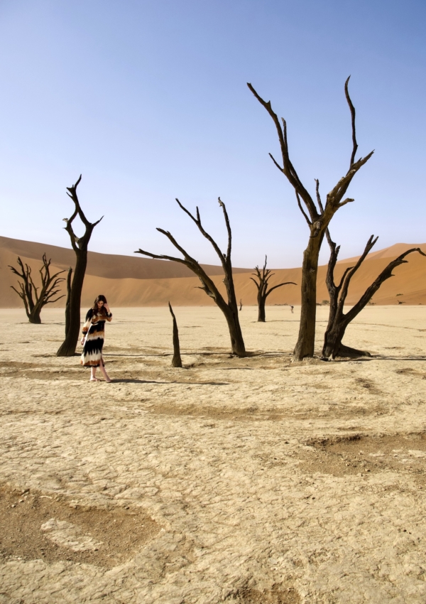 Nambia Road Trip: Dunes at Deadvlei