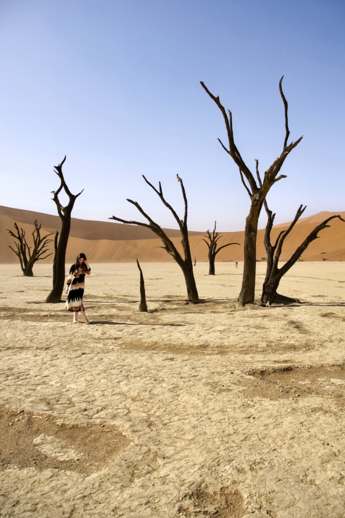 Nambia Road Trip: Dunes at Deadvlei