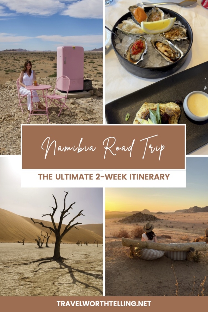 Plan the ultimate Namibia road trip with this 2-week itinerary covering top destinations, self-driving tips, where to stay, wildlife encounters, and essential travel advice.